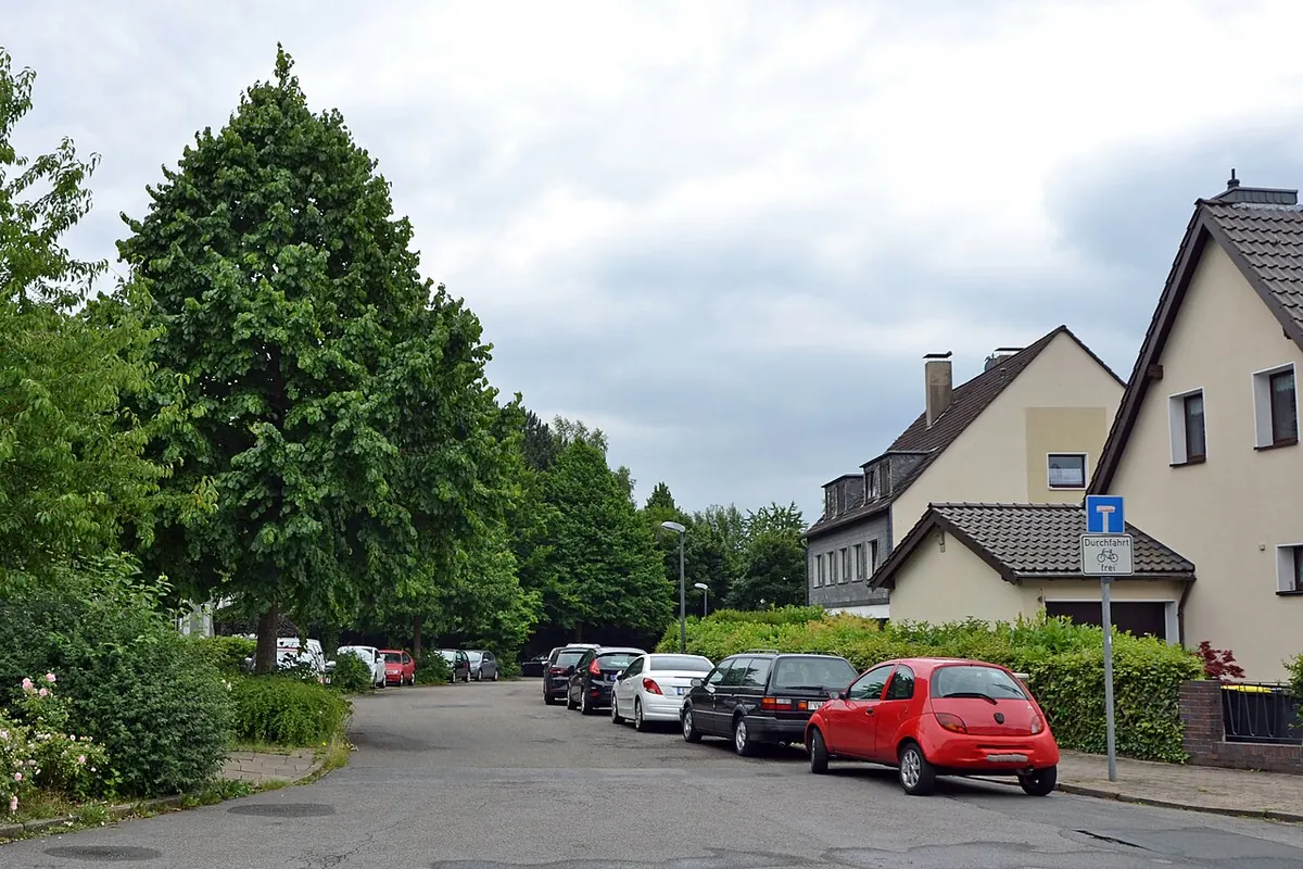 Winterdienst Essen-Schönebeck: Wohnstraße am Grünen im Winter